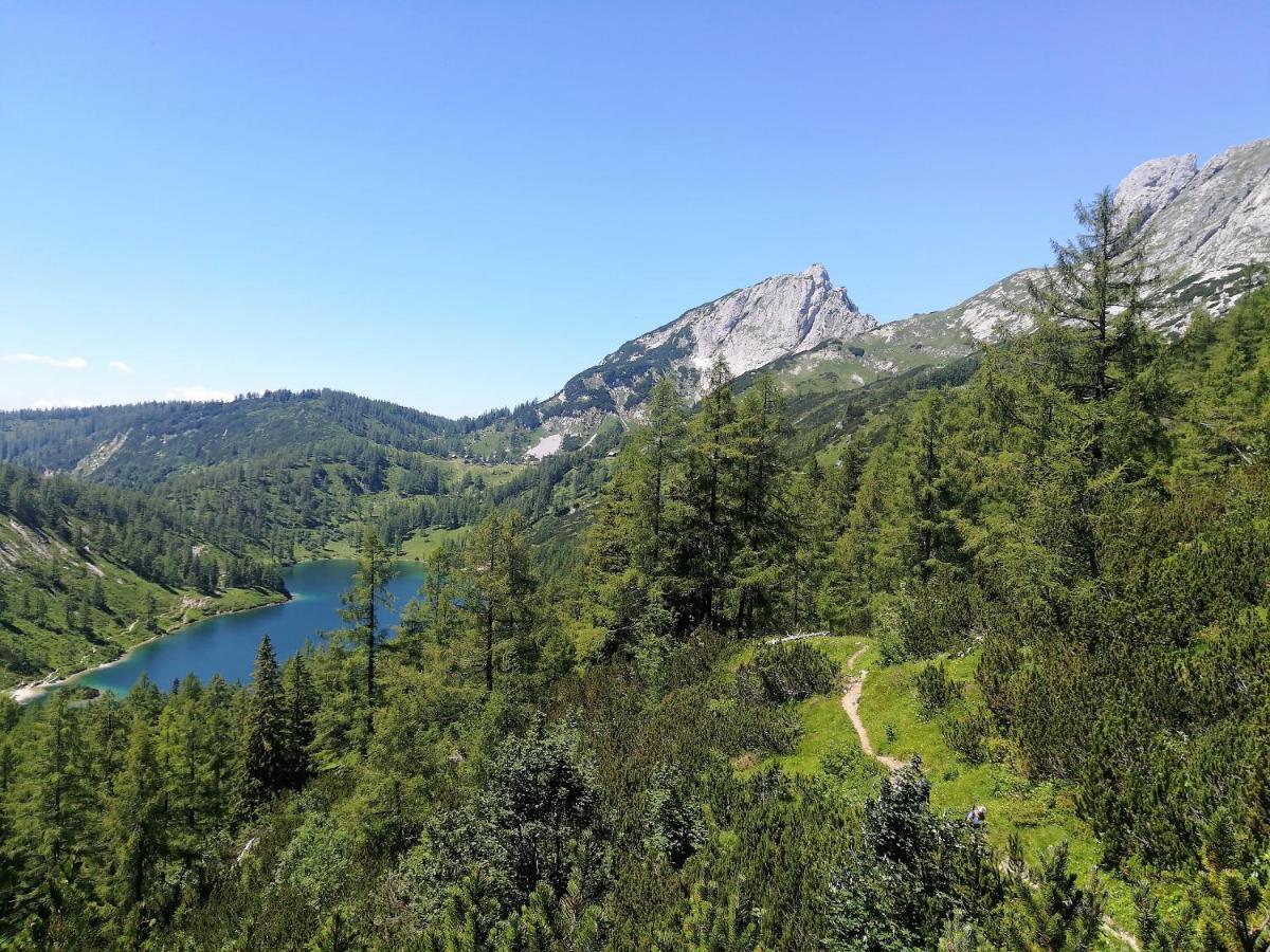 Appartement-Pension Familie Gewessler Bad Mitterndorf Zewnętrze zdjęcie